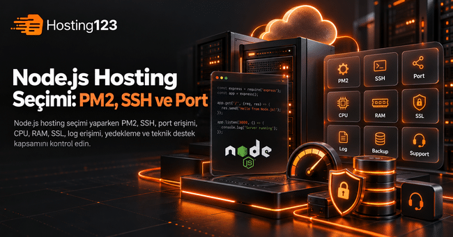 Node.js hosting seçimi başlıklı Hosting123 görseli; PM2, SSH, port erişimi, CPU, RAM, SSL, log erişimi, yedekleme ve teknik destek kriterlerini gösteriyor.